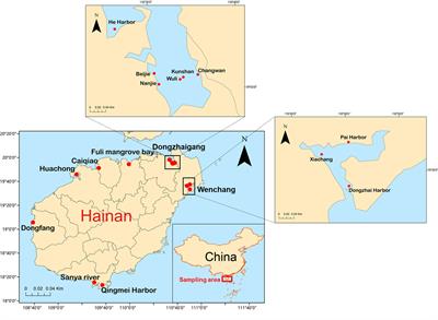 Occurrenceand characteristics of microplastics in benthic species from mangrove wetlands of Hainan, South China